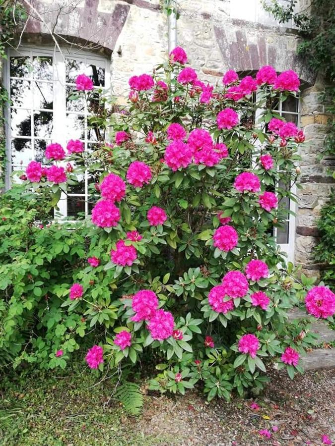 Hotel Manoir Du Tertre Au Coeur De La Foret De Broceliande Paimpont Exterior foto